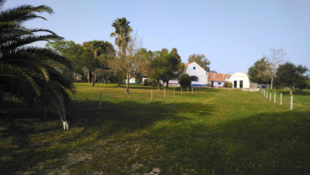 Lodge Monte Do Sobral Alcacovas Ngoại thất bức ảnh
