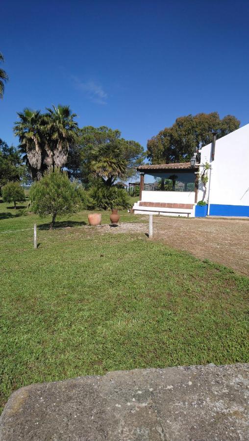 Lodge Monte Do Sobral Alcacovas Ngoại thất bức ảnh