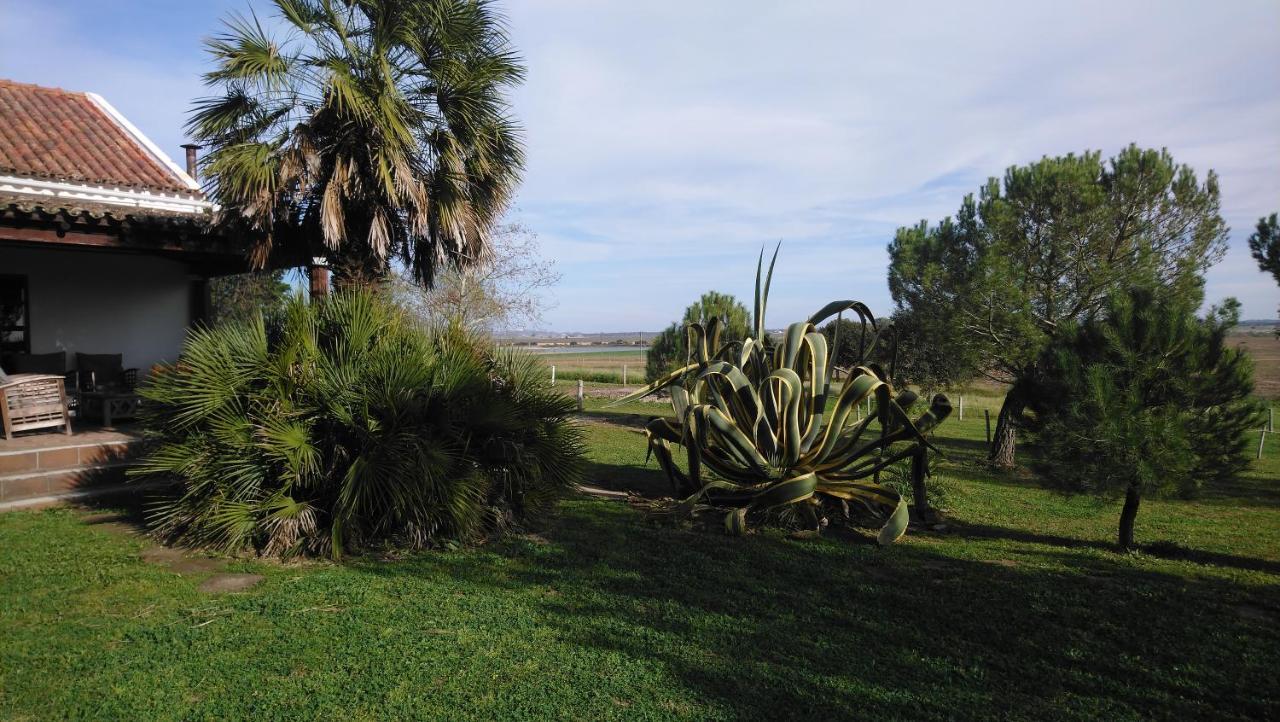 Lodge Monte Do Sobral Alcacovas Ngoại thất bức ảnh