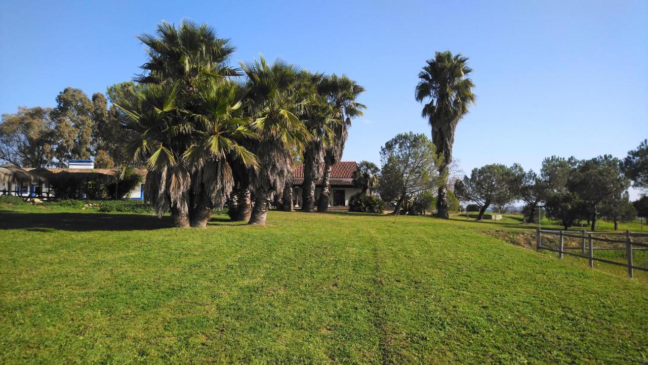 Lodge Monte Do Sobral Alcacovas Ngoại thất bức ảnh
