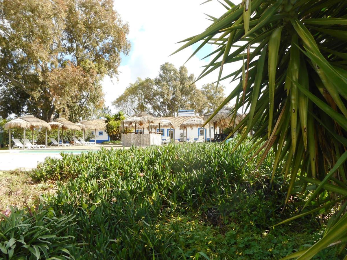 Lodge Monte Do Sobral Alcacovas Ngoại thất bức ảnh