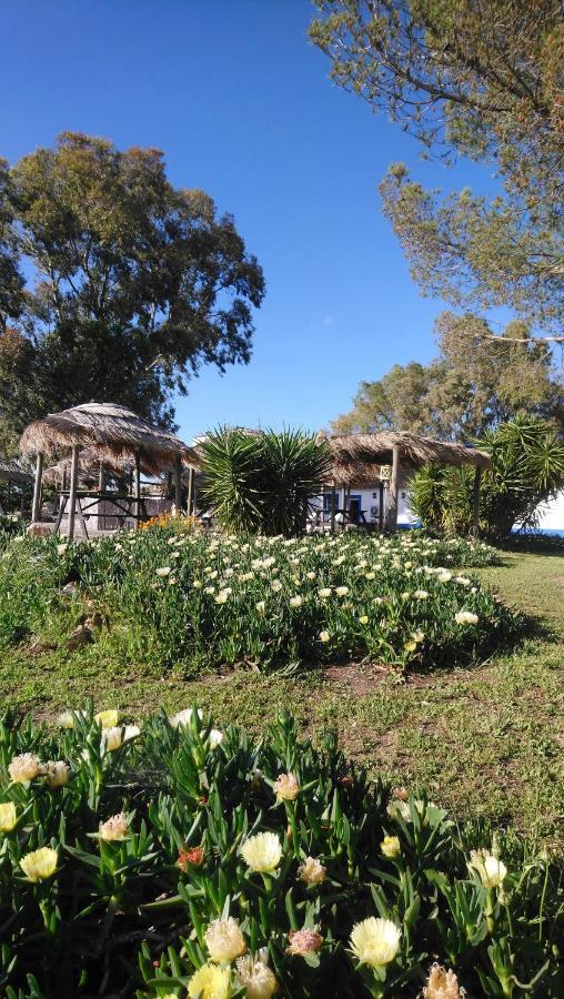 Lodge Monte Do Sobral Alcacovas Ngoại thất bức ảnh