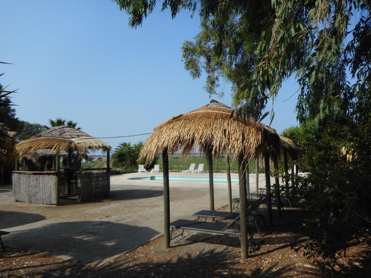 Lodge Monte Do Sobral Alcacovas Ngoại thất bức ảnh